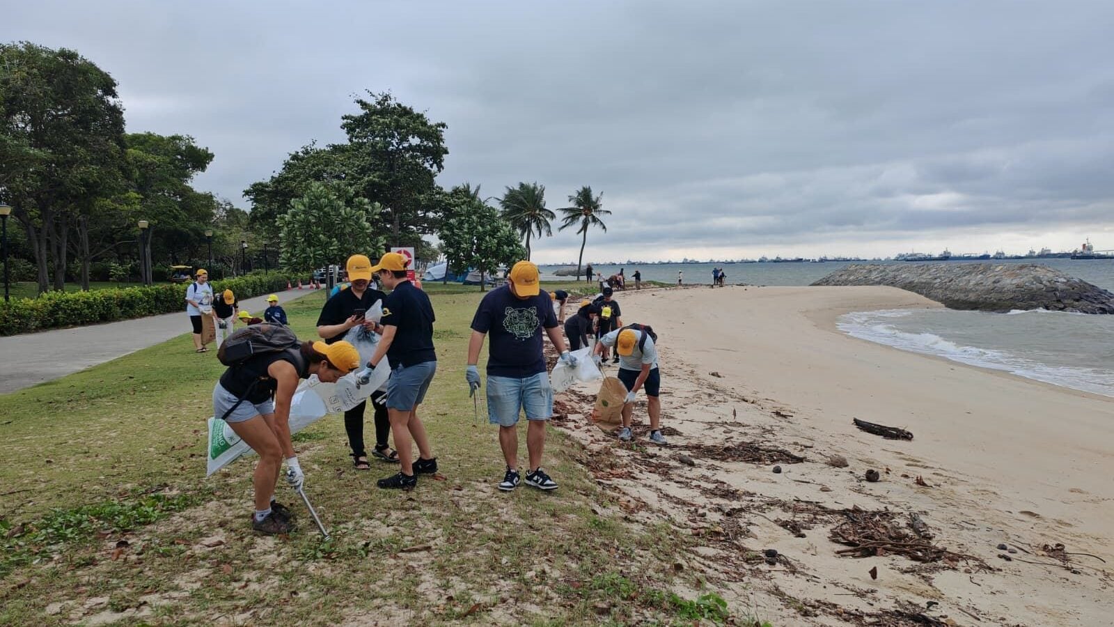 Beach cleanup 3 aspect ratio 1132 637