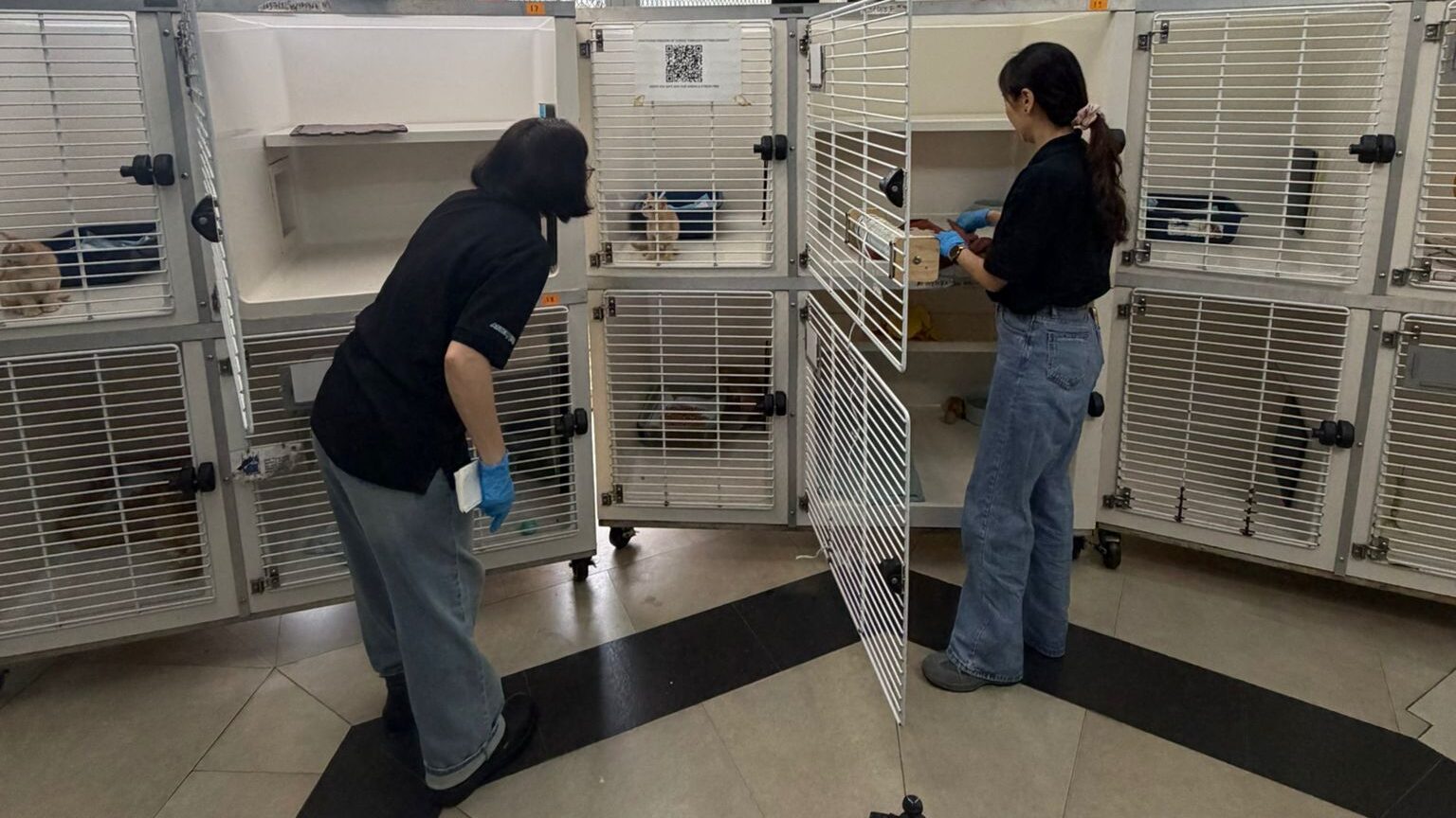 Clean up website 2 aspect ratio 1132